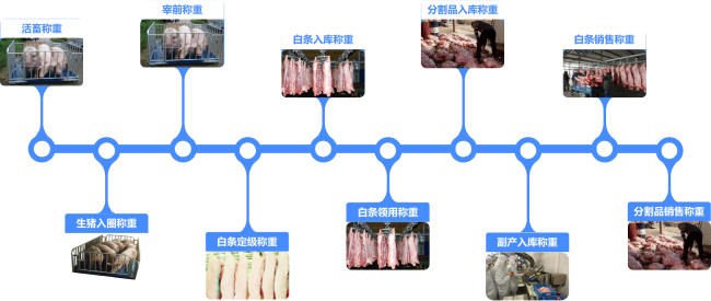 无缝对接磅秤系统